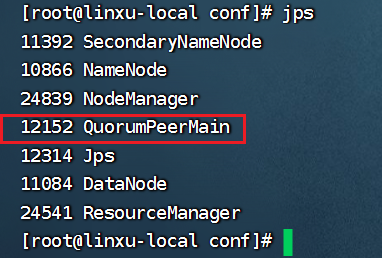 image-20240126191950297