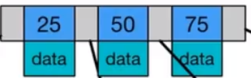 image-20210413145631927