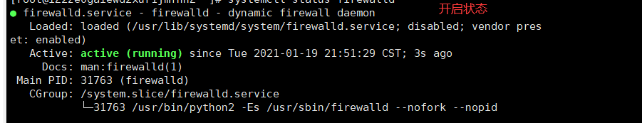 image-20210119215254316