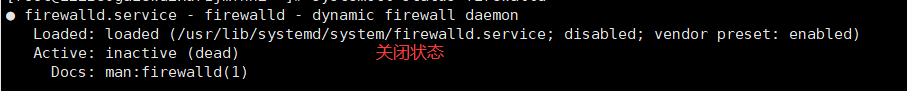 image-20210119215310759