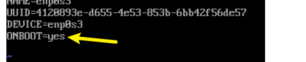 image-20240607012007519